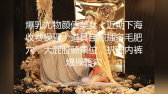 推特骚母狗『紫晶』大尺度性爱私拍甄选 倒立口交+啪啪+美乳+道具+品穴 高清私拍86P