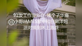 91汝工作室新作-矮个子华裔小哥JAMES家中和白嫩洋妞派对搞到床上激战