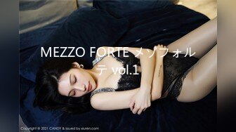 MEZZO FORTE メゾフォルテ vol.1